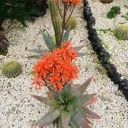 アパート Fiori Dell Etna