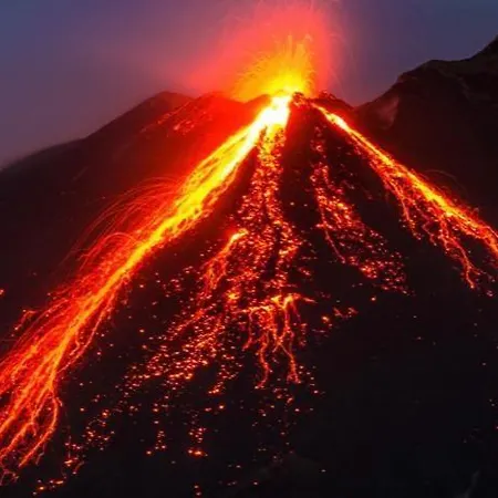 Fiori Dell Etna マスカルチーア